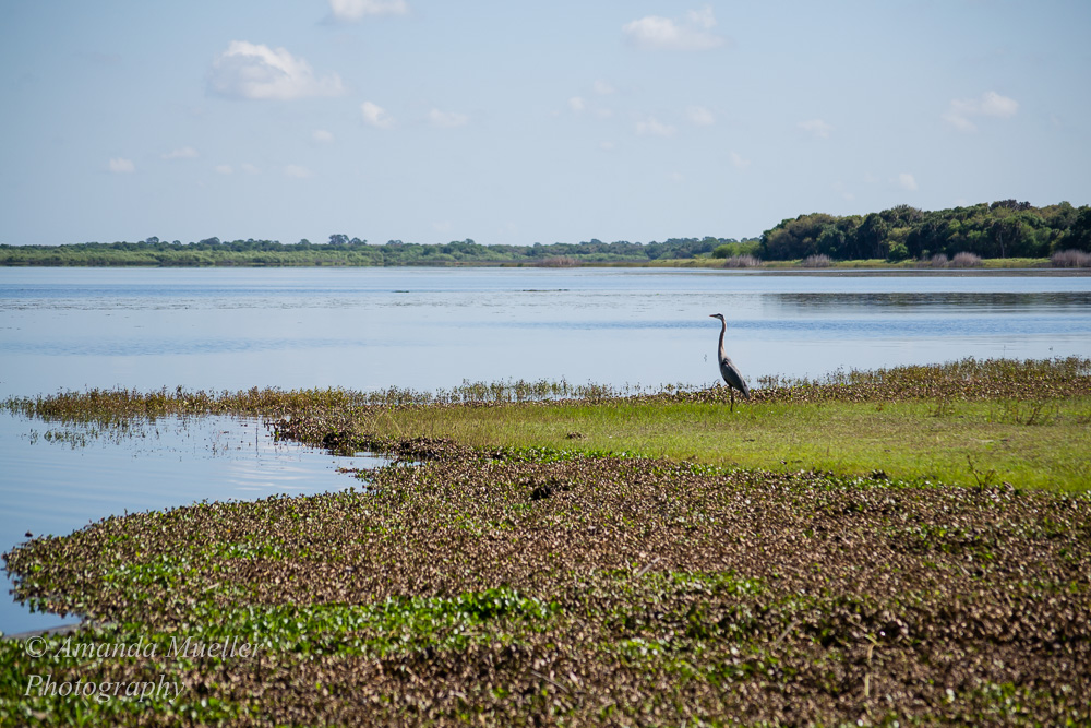 20140309-ajm-9823