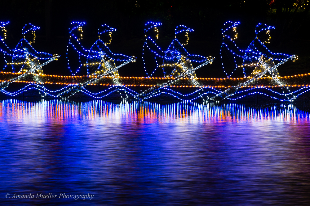 University Parkway Christmas Lights