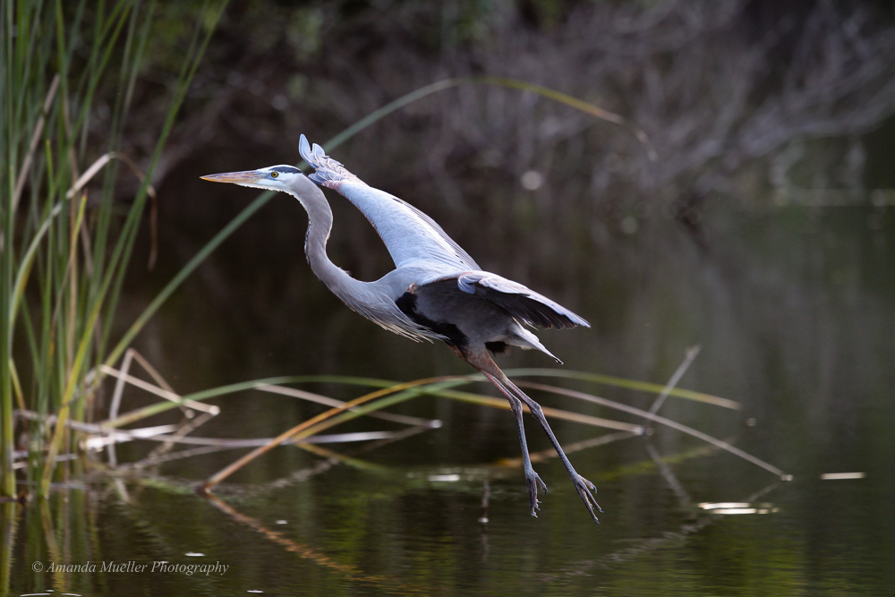 5 Top Nature Photography Spots in Western FL