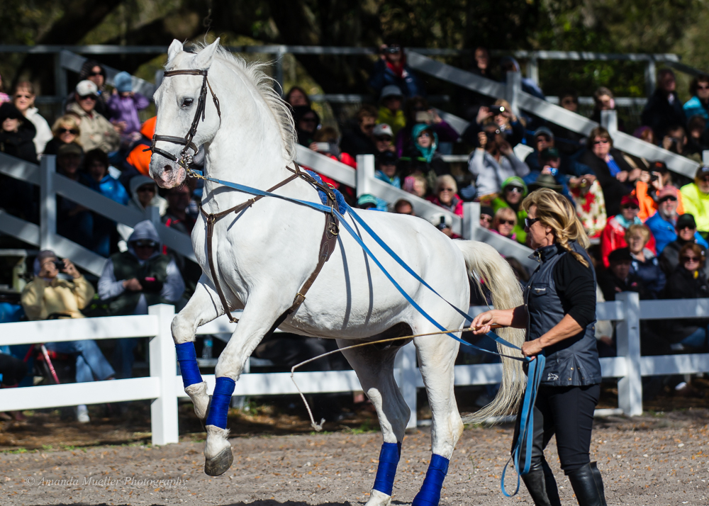 20150219-ajm-26386
