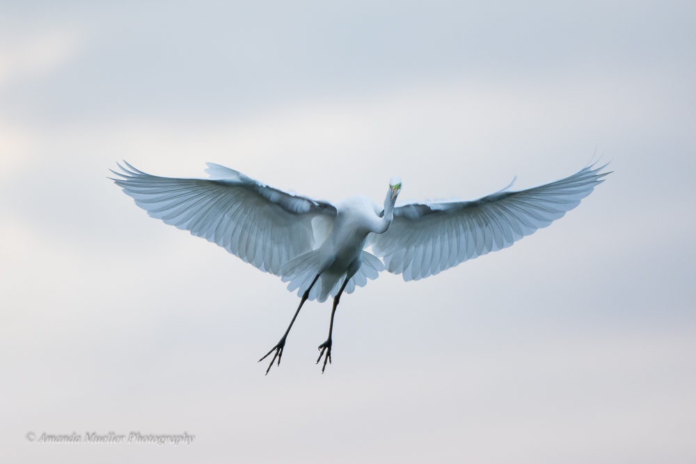 20150308-ajm-29254-Edit