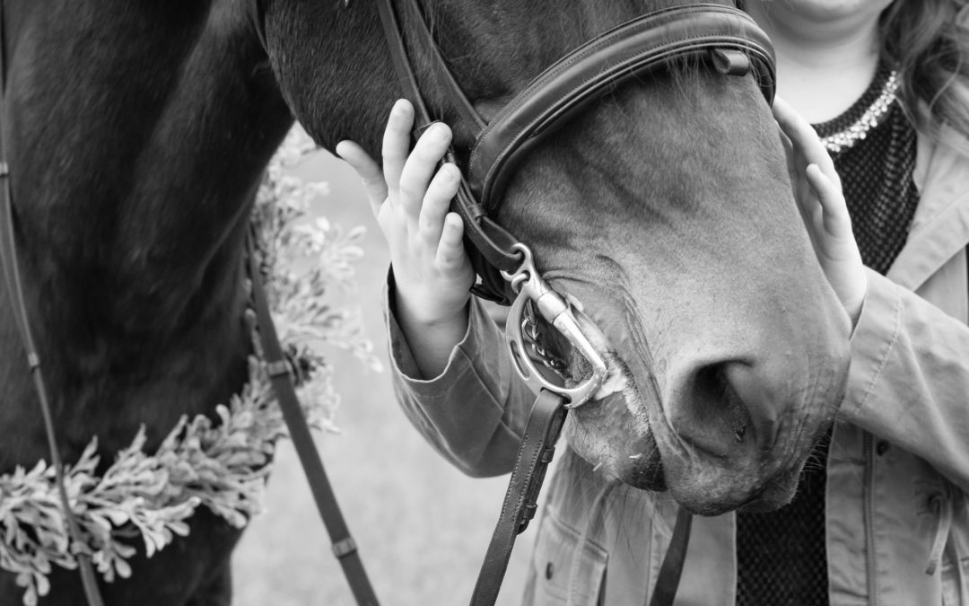 Equestrian Christmas Styled Session | Parrish, Florida